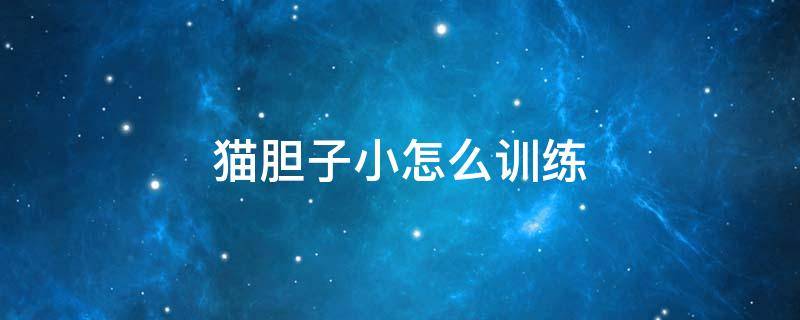 猫胆子小怎么训练 猫胆子特别小怎么训练