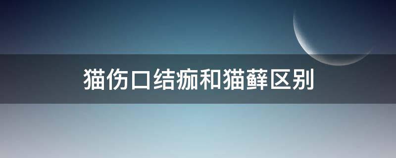 猫伤口结痂和猫藓区别 猫癣和伤口结痂怎么区分