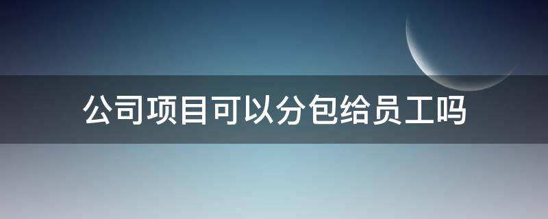 公司项目可以分包给员工吗（建筑项目可以分包给分公司吗）