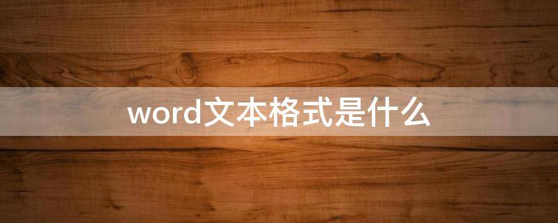 word文本格式是什么 word文本格式是什么意思