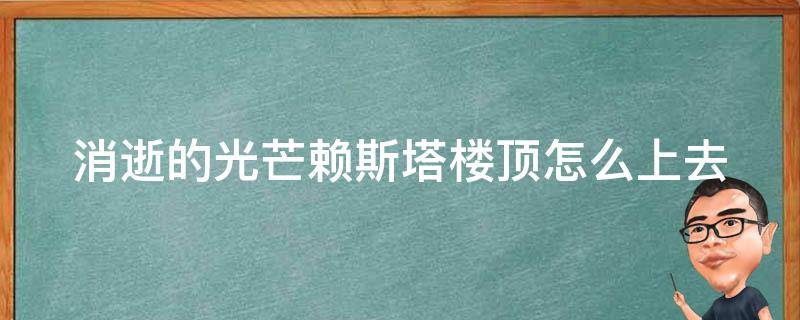 消逝的光芒赖斯塔楼顶怎么上去 消逝的光芒与赖斯协议第二座塔