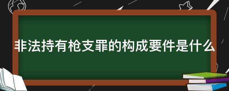 非法持有枪支罪的构成要件是什么（非法持有枪支罪的构成要件是什么）