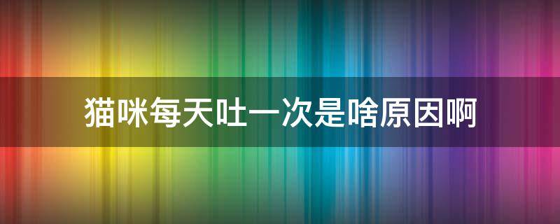 猫咪每天吐一次是啥原因啊 猫每天呕吐一次什么原因,其他都正常