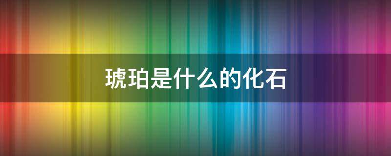 琥珀是什么的化石 琥珀是什么的化石,它的颜色有