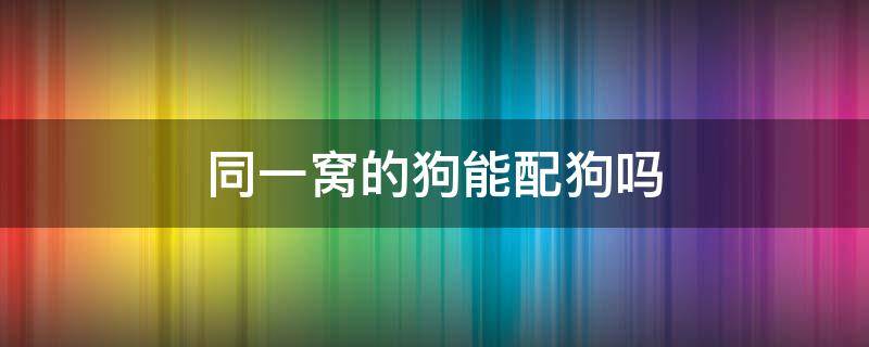 同一窝的狗能配狗吗 同一窝狗狗可以配狗吗