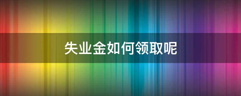 失业金如何领取呢（失业金一般怎么领取）