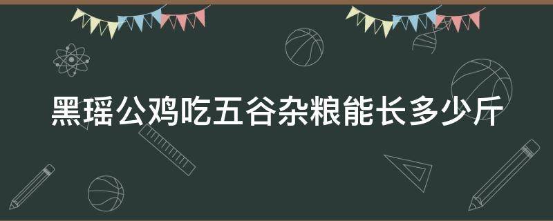 黑瑶公鸡吃五谷杂粮能长多少斤（黑瑶公鸡吃五谷杂粮能长多少斤重）