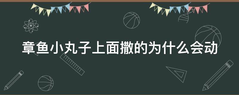 章鱼小丸子上面撒的为什么会动（章鱼小丸子上撒的那个碎屑是什么）