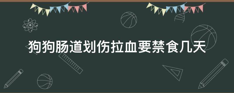 狗狗肠道划伤拉血要禁食几天 狗划伤肠道能拉几天血