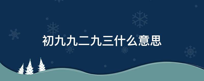 初九九二九三什么意思（初九,九二,九三用九是什么意思）