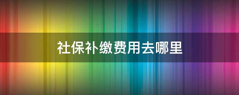 社保补缴费用去哪里（社保在哪里补缴费）