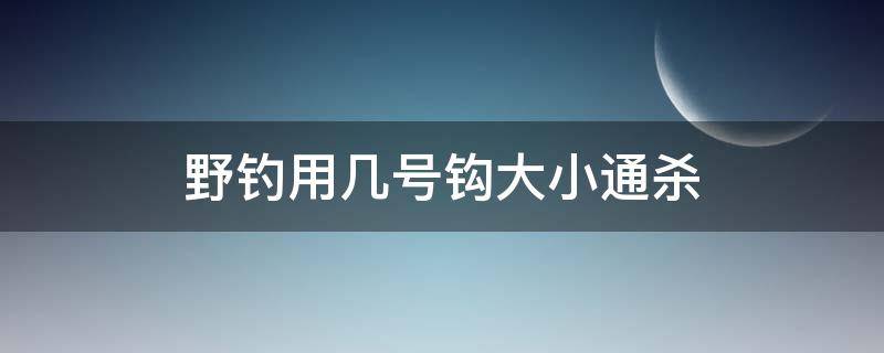 野钓用几号钩大小通杀（钓鱼用几号钩大小通杀）