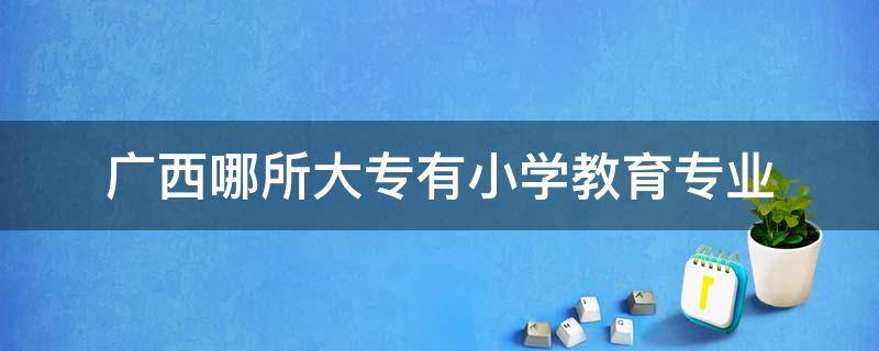 广西哪所大专有小学教育专业（广西小教大专有哪些学校）