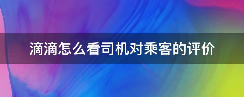 滴滴怎么看司机对乘客的评价（滴滴怎样看乘客对司机的评价）