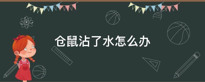 仓鼠沾了水怎么办（仓鼠沾水了怎么处理?）