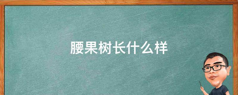 腰果树长什么样 腰果树长什么样 产地