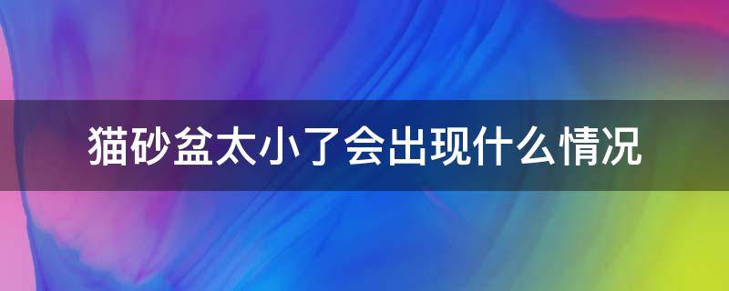 猫砂盆太小了会出现什么情况（猫砂盆小了猫会不用么）