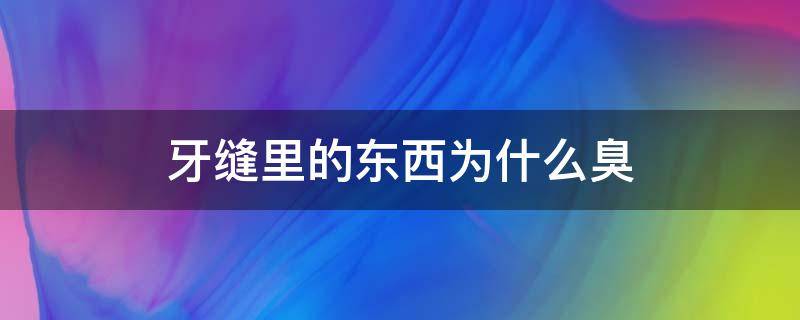 牙缝里的东西为什么臭（牙缝里的东西为什么这么臭）