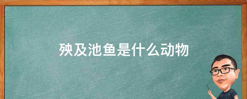 殃及池鱼是什么动物 殃及池鱼百科