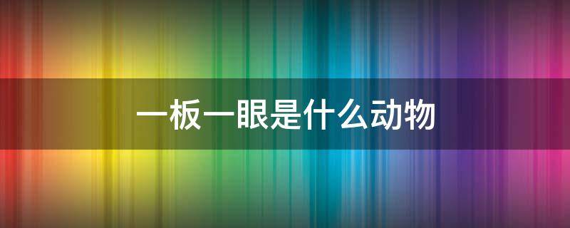 一板一眼是什么动物 一板一眼是指什么生肖