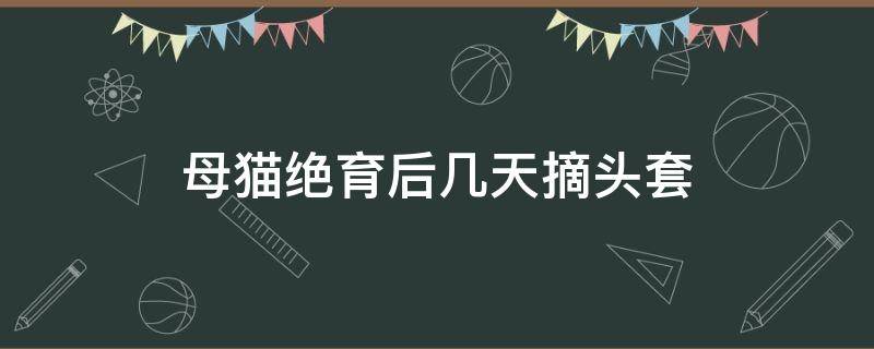 母猫绝育后几天摘头套 母猫绝育多久能摘掉头套