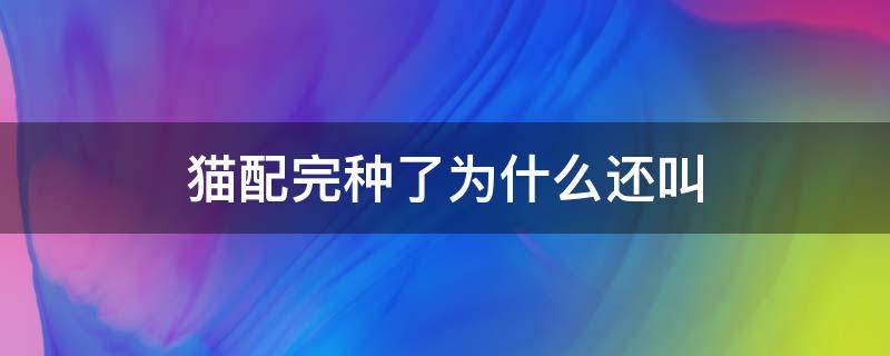 猫配完种了为什么还叫 猫配完种了为什么还叫打滚