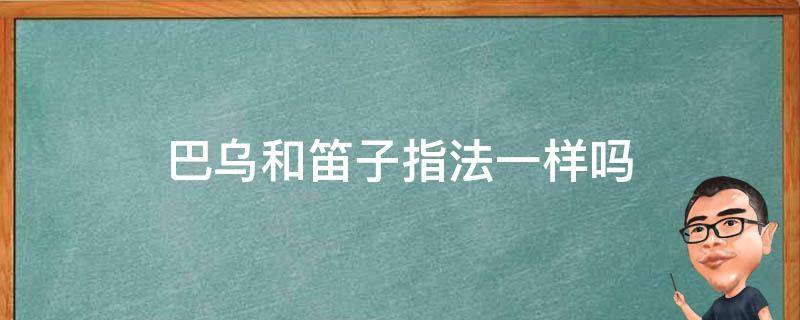 巴乌和笛子指法一样吗 巴乌与长笛的区别