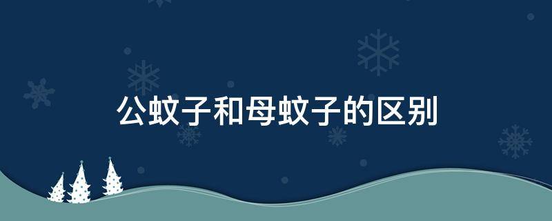 公蚊子和母蚊子的区别 公蚊子和母蚊子的区别怎么繁殖