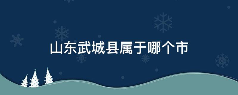 山东武城县属于哪个市（武城县属于哪个市）