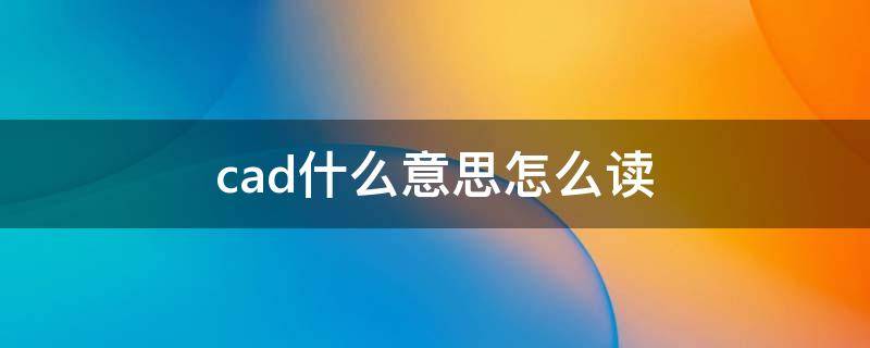 cad什么意思怎么读（cad是什么意思译）