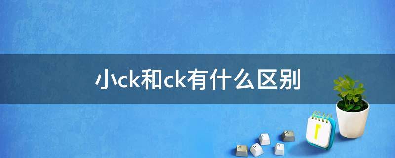 小ck和ck有什么区别（小ck和CK的区别）