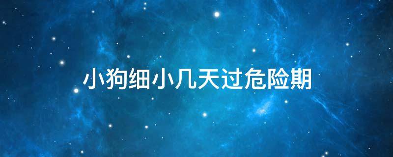 小狗细小几天过危险期 幼犬得细小第几天才算度过危险期