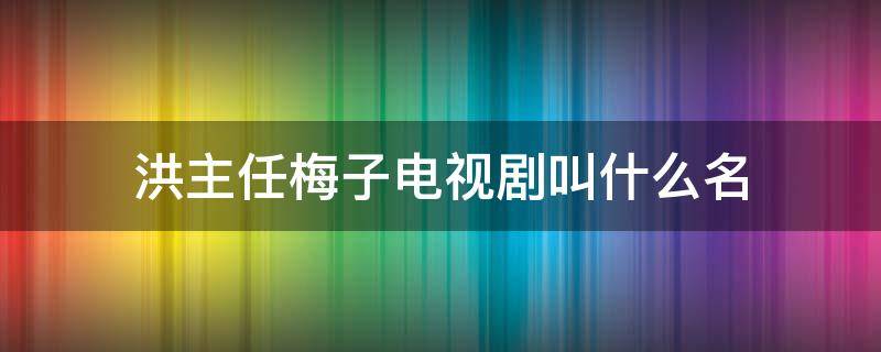 洪主任梅子电视剧叫什么名（洪主任梅子是什么电视）