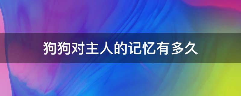 狗狗对主人的记忆有多久 成年狗对狗主人的记忆有多久