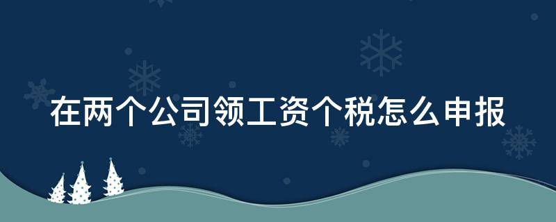 在两个公司领工资个税怎么申报 在两家公司领工资个税怎么办