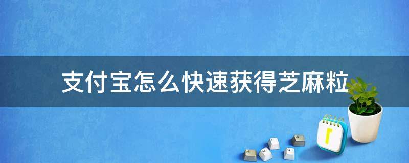 支付宝怎么快速获得芝麻粒（支付宝如何快速得到芝麻粒）