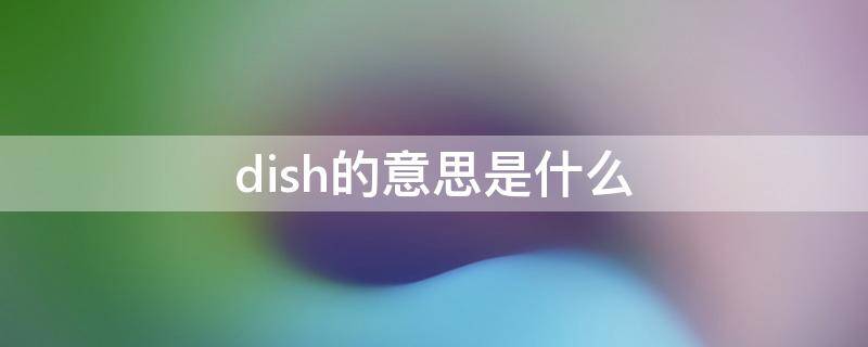 dish的意思是什么 eat his dish的意思是什么