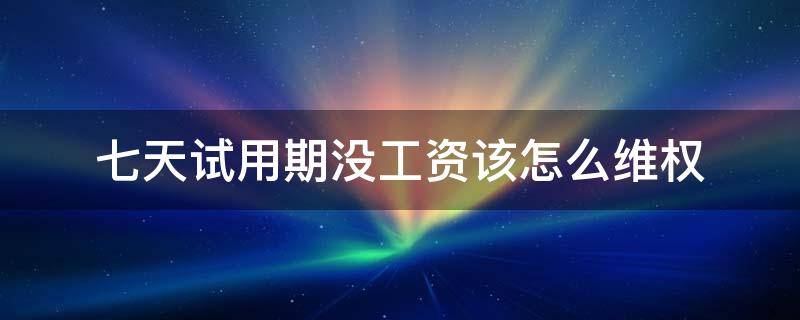 七天试用期没工资该怎么维权（七天试用期没工资要不要去）