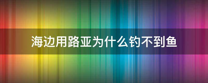 海边用路亚为什么钓不到鱼 海边能用路亚钓鱼吗