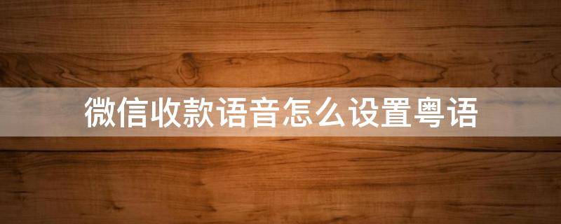 微信收款语音怎么设置粤语（微信收款语音可以设置粤语吗）