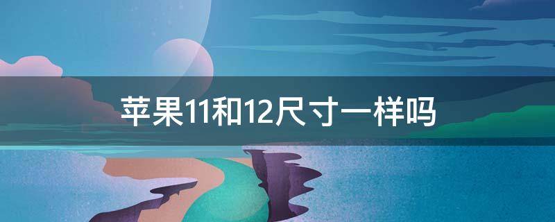 苹果11和12尺寸一样吗 苹果11跟12尺寸一样吗