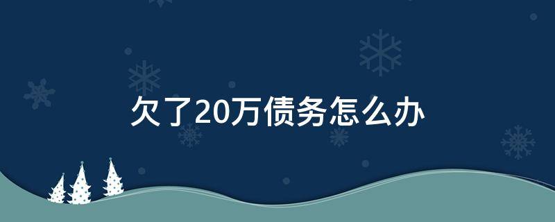 欠了20万债务怎么办（欠下20万债不知道怎么还）