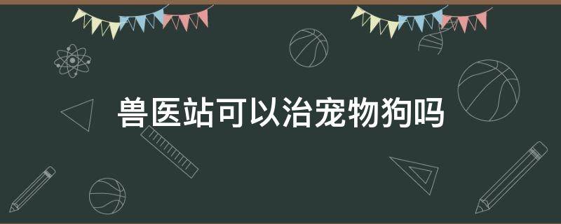 兽医站可以治宠物狗吗（兽医站能治狗吗）