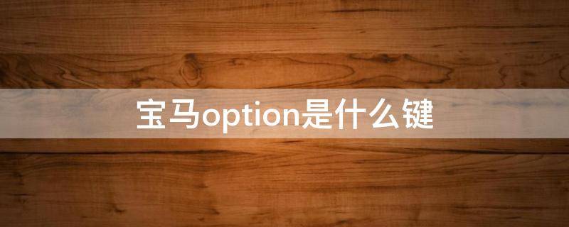 宝马option是什么键（宝马option键是什么意思）