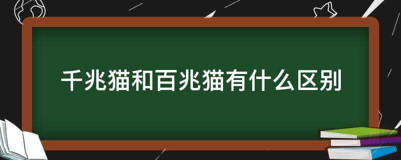 千兆猫和百兆猫有什么区别 百兆猫和千兆猫的好处