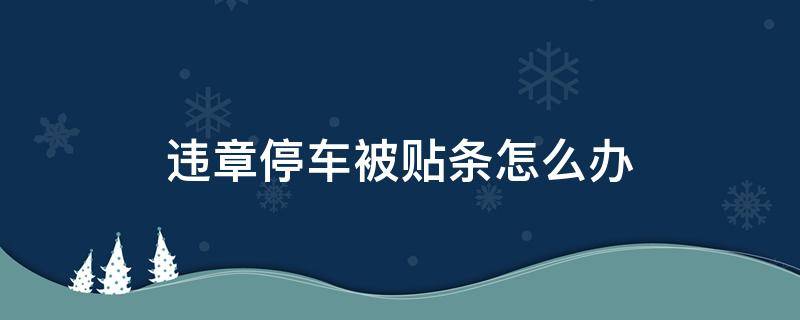 违章停车被贴条怎么办（临时牌照违章停车被贴条怎么办）