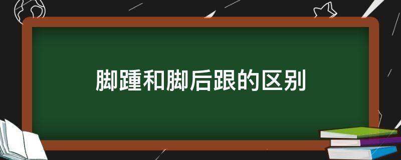 脚踵和脚后跟的区别 脚腕和脚踝的区别