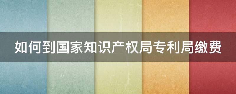 如何到国家知识产权局专利局缴费（国家知识产权局专利缴费电话）