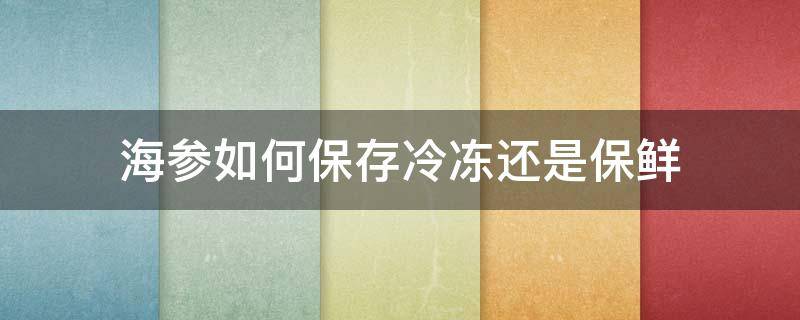 海参如何保存冷冻还是保鲜 海参是放冰冻还是保鲜