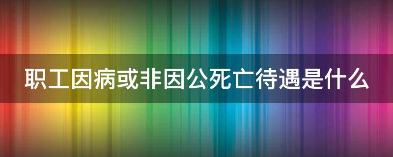 职工因病或非因公死亡待遇是什么 职工因病或非因工死亡待遇